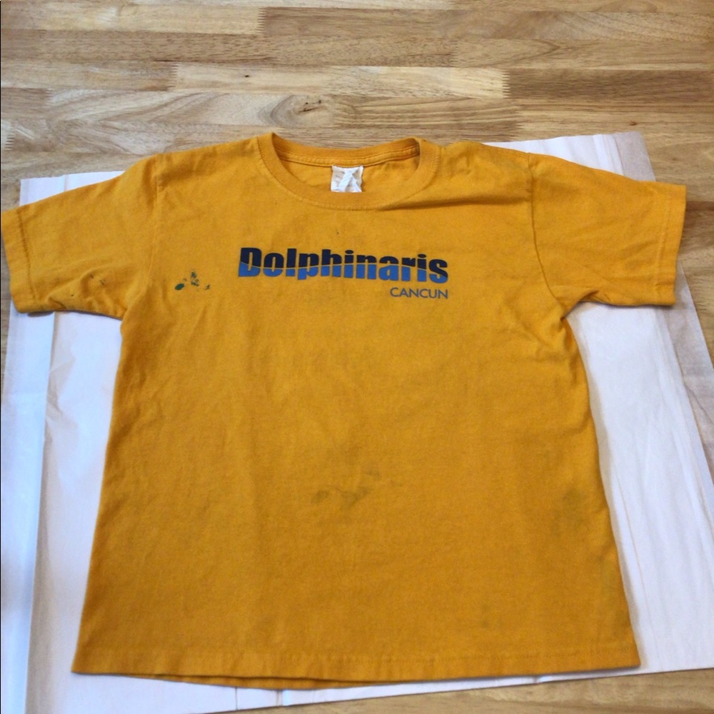 ⛱️2/$5⛱️Kids Cancun T-Shirt Dolphinaris m/lg has wear